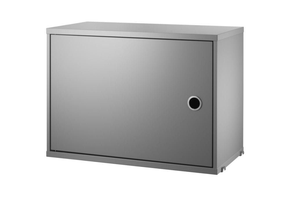 Cabinet with Swing Door