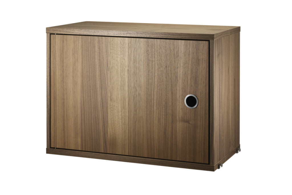 Cabinet with Swing Door