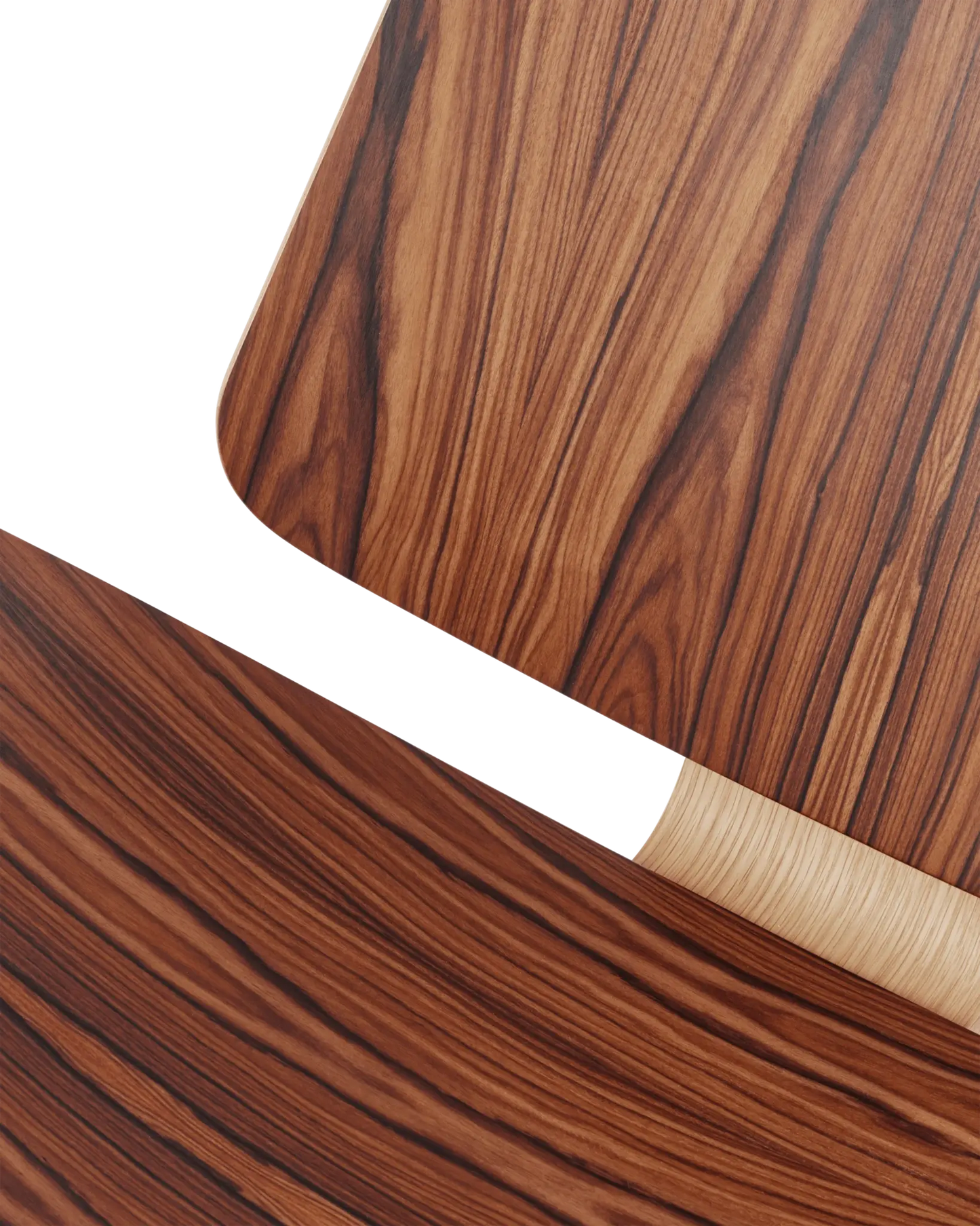 CH07 J60T | Shell Chair Anniversary Edition