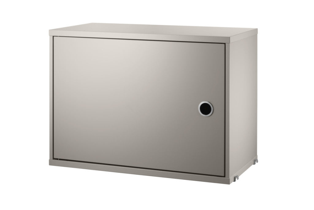 Cabinet with Swing Door
