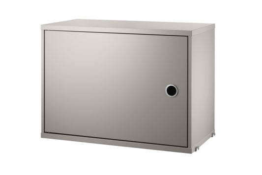 Cabinet with Swing Door