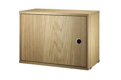 Cabinet with Swing Door