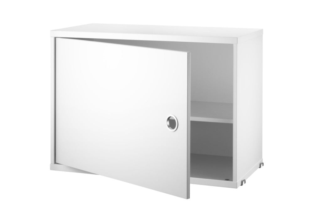 Cabinet with Swing Door